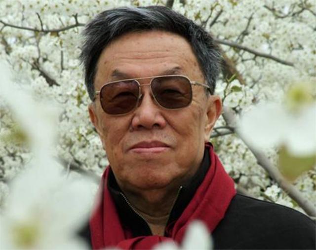 王蒙受欢迎的原因,王蒙为何有着如此超长的青春期