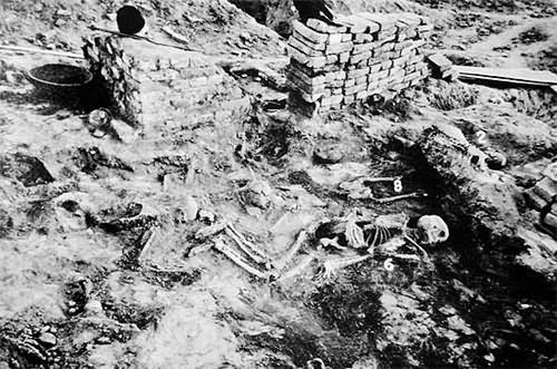 通古斯大爆炸之谜经典传奇,三大自然爆炸之谜