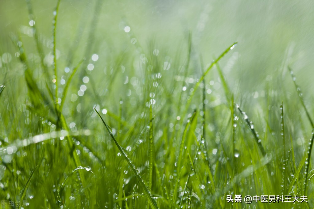 肾虚皮肤暗沉脾气差,精神萎靡面色晦暗无华