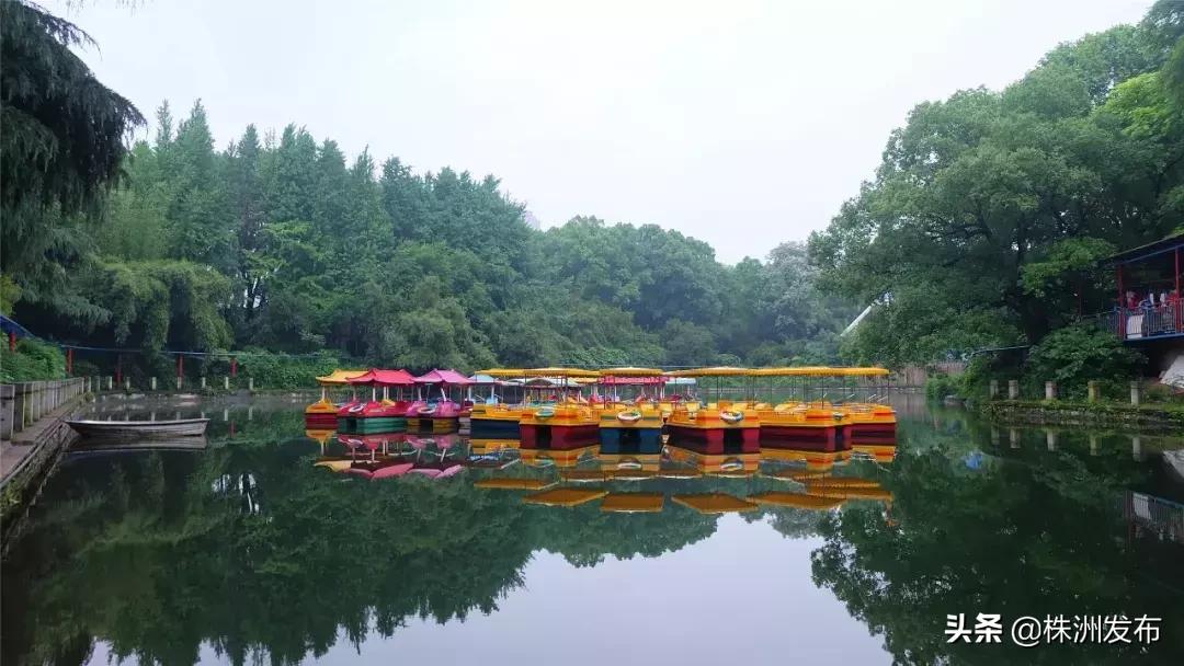 春日大自然美景视频,春日公园游玩美图视频