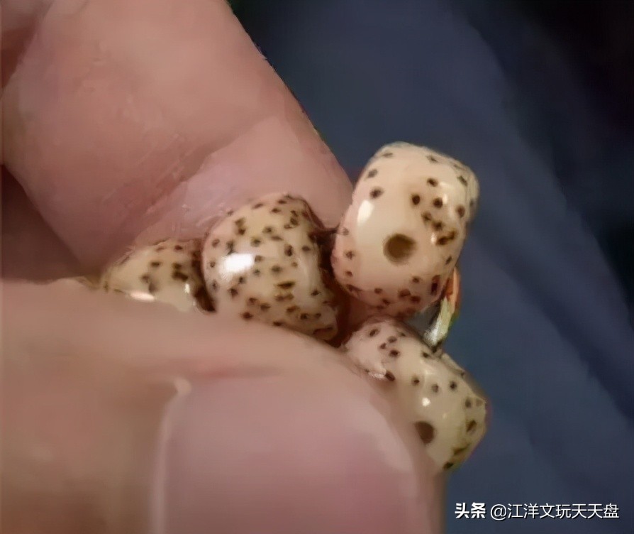 星月挂瓷了还能抛光吗,挂瓷星月样子