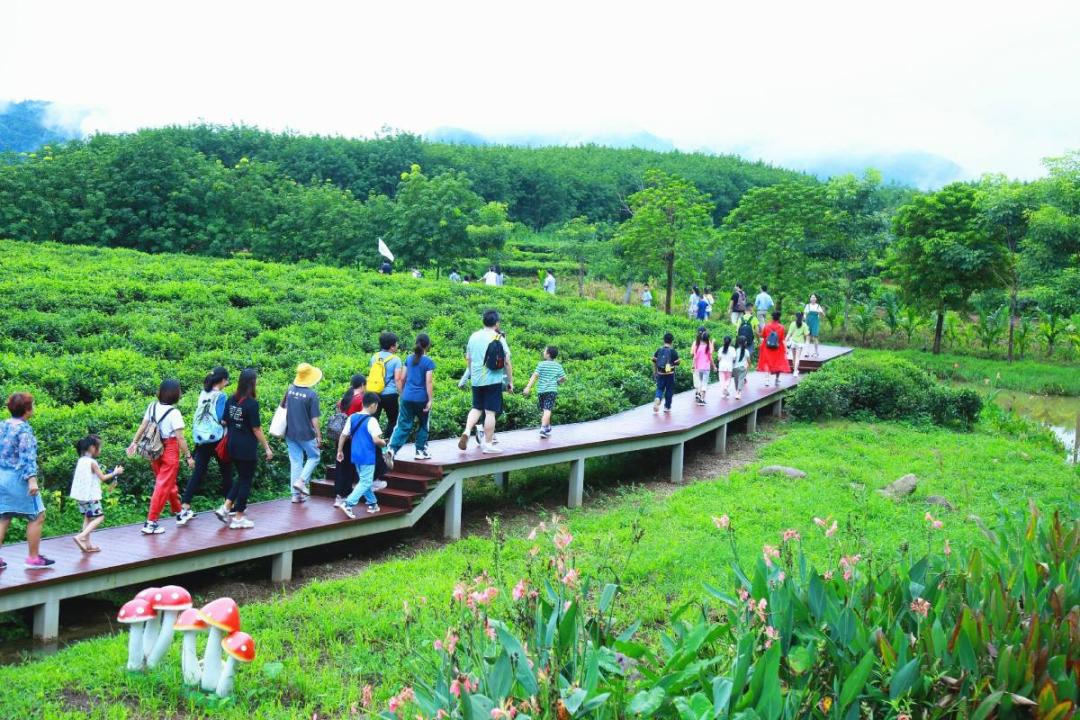 海南国庆游玩最佳路线,国庆节适合去哪旅游海南