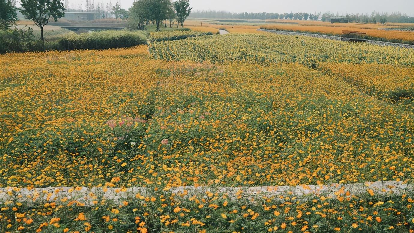 浅谈全国34个省级区域之华东篇：江苏省—宿迁市