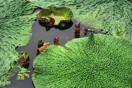 说文解字第六十八课,说文解字96课