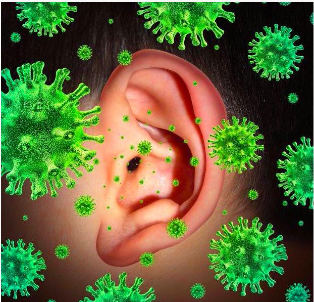 耳屎用显微镜放大是什么样,耳屎在显微镜下是不是活的