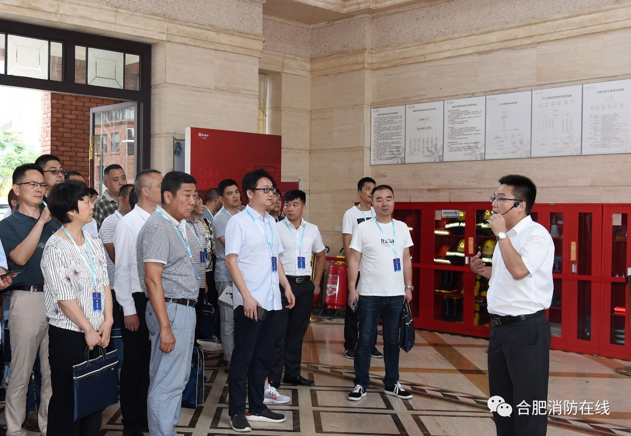 安徽合肥一小区发生的事,合肥小区事件最新消息