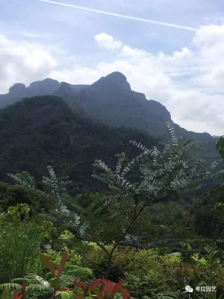 大地的恩赐图片,大地的馈赠是大天域吗