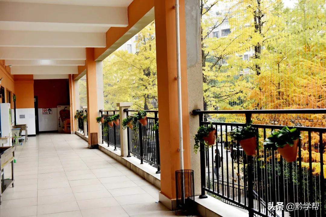 贵阳一小学分校,贵阳小学排名含分校