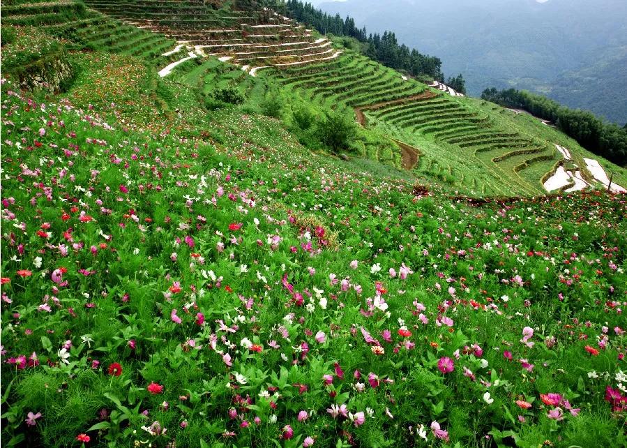 山西最美诗意的地名有,山西最美诗意的地名有哪些