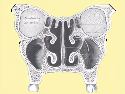 老是流鼻涕什么方法快速解决,孕妇怎么快速止住流鼻涕