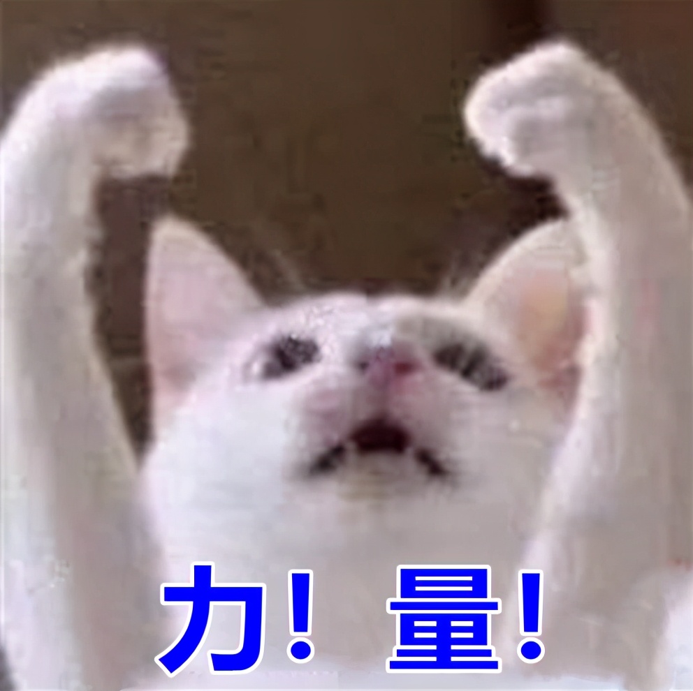 成都平均薪水,成都各区平均工资排名