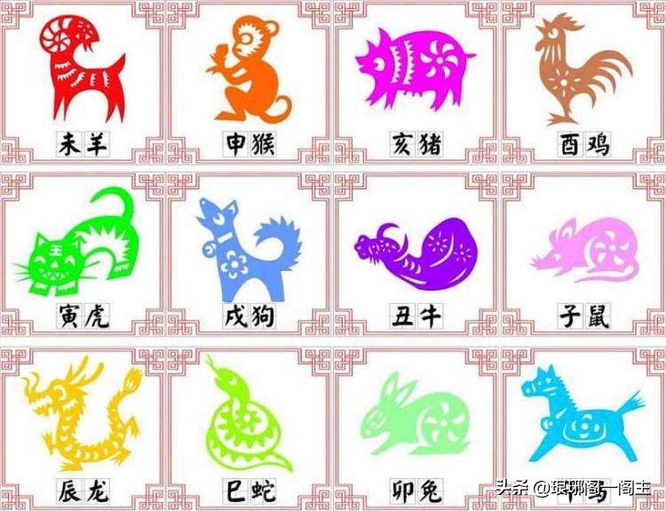 十二生肖鸡羊由来,十二生肖的故事鸡和龙