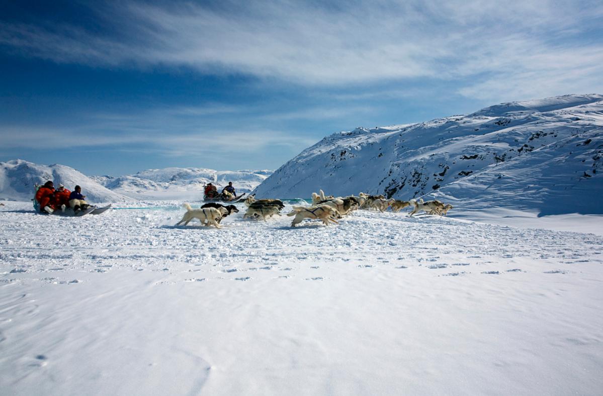 冰岛最大还是格陵兰岛的大,世界上最大的岛屿是冰岛