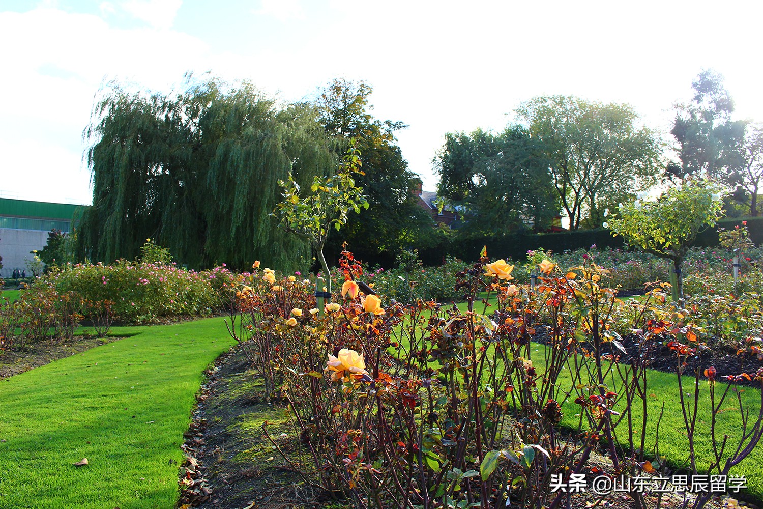 最新英国大学消息,英国东伦敦大学