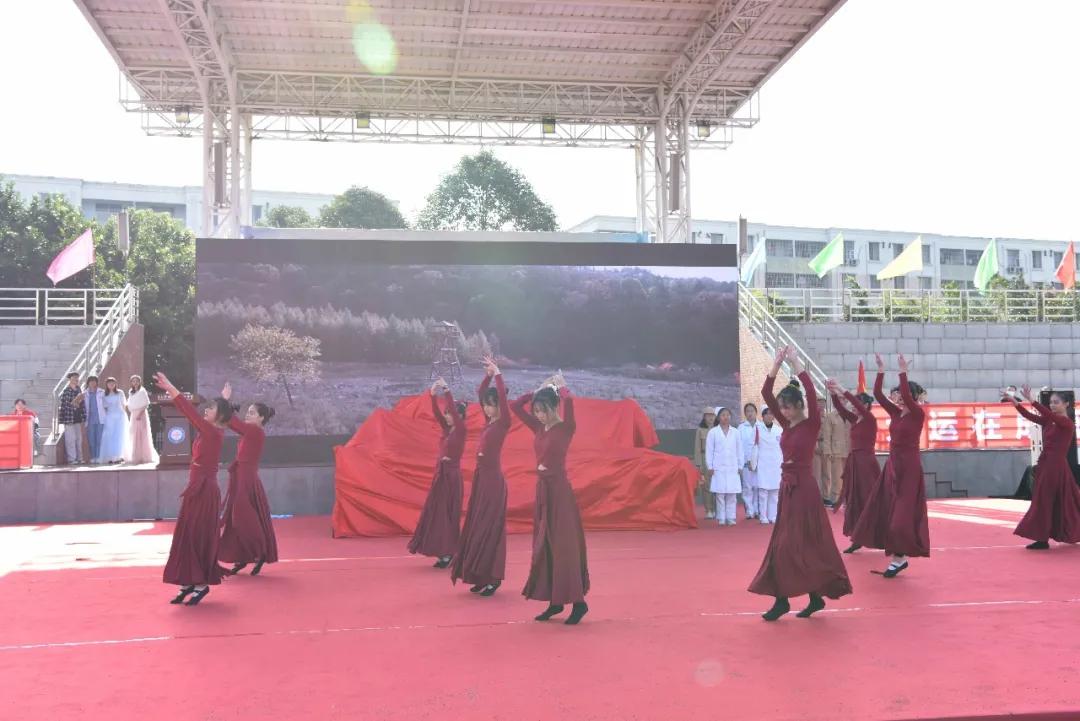 机器人在技能大赛上尬舞,世界机器人舞冠军挑战赛