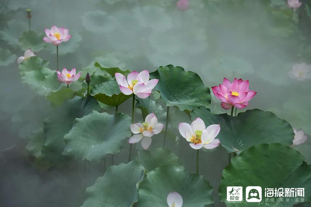 一座来了就不想走的城市泉州,一座来了不想走的城市纪录片