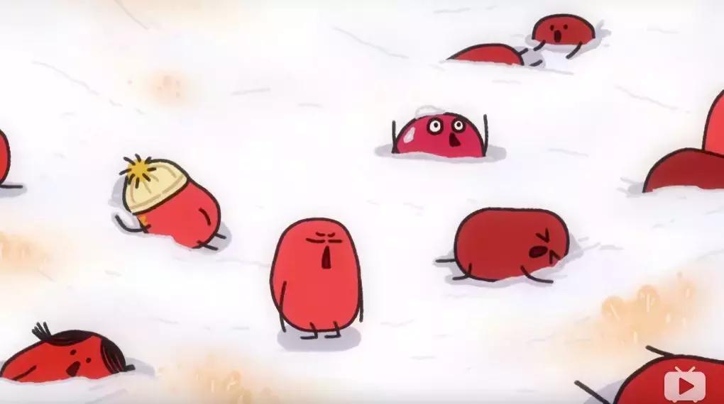 国产泡面番排行榜前十名,日本最新泡面番推荐