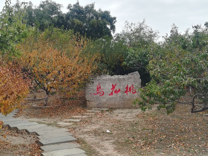 天津遛娃好去处,天津近郊一日游好去处