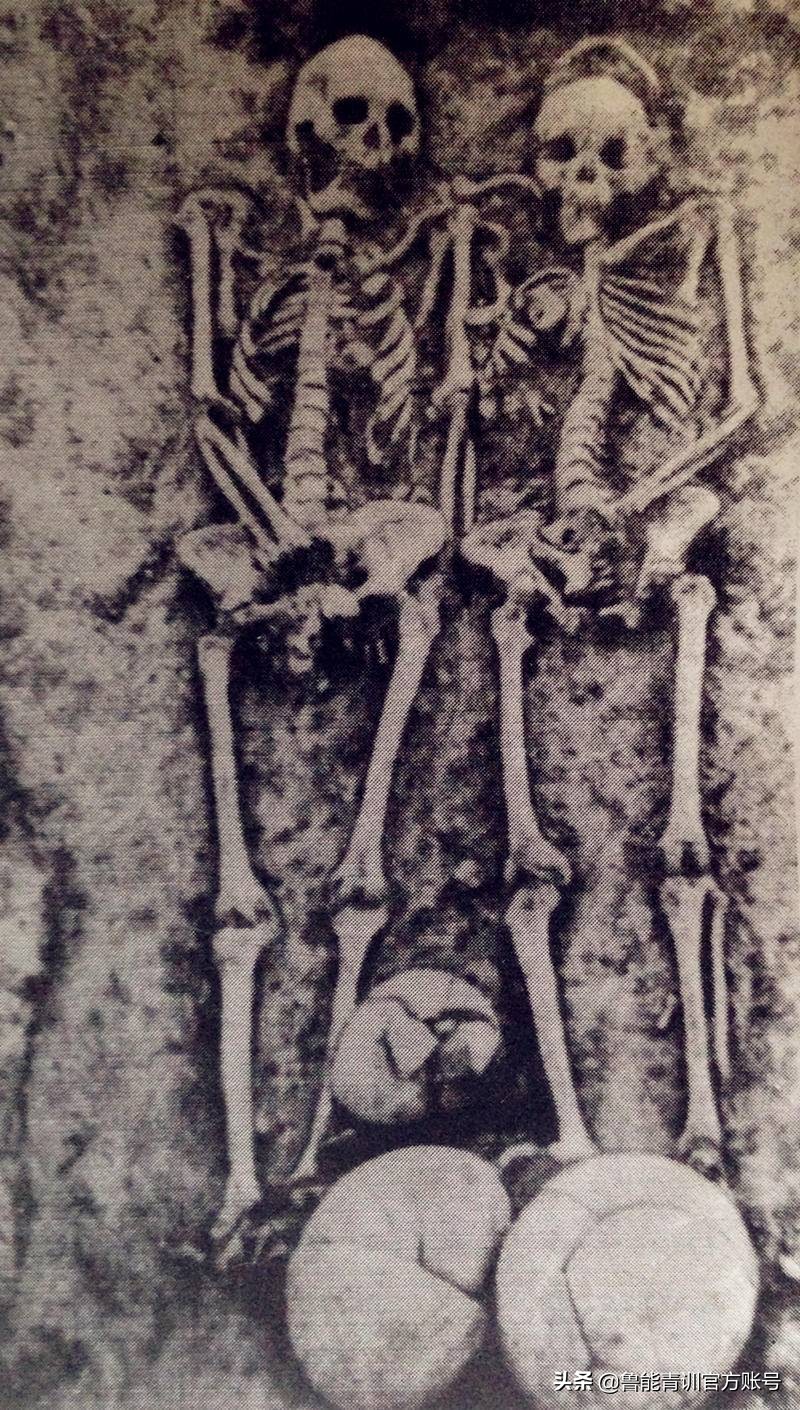 中国足球复兴之旅,中华球视频