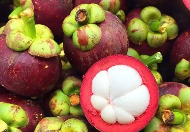 山竹怎么挑选5公6母,原来挑选山竹有技巧掌握好这四点