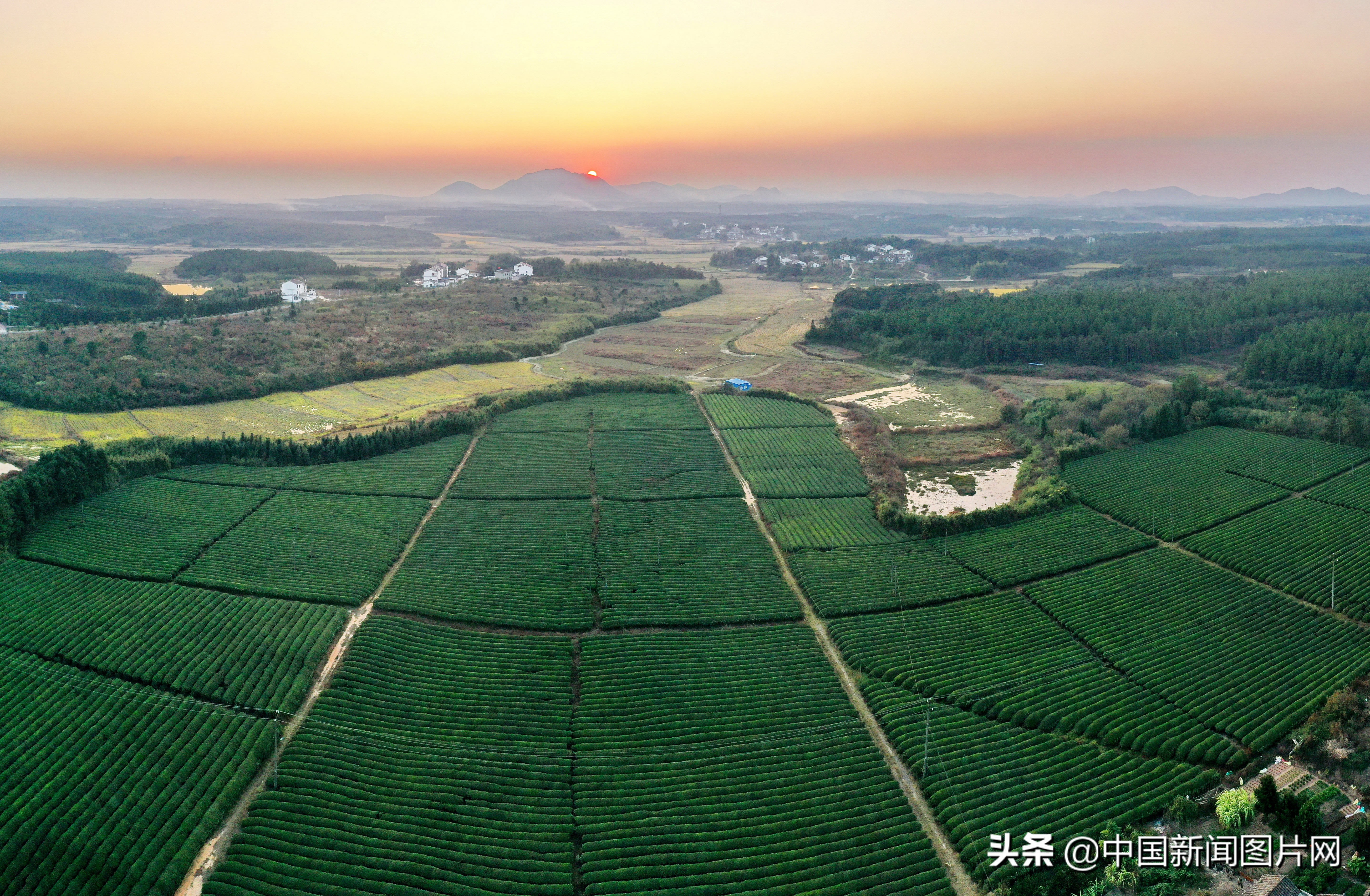 江西抚州幸福家园,江西金溪生态乡村美如画组图