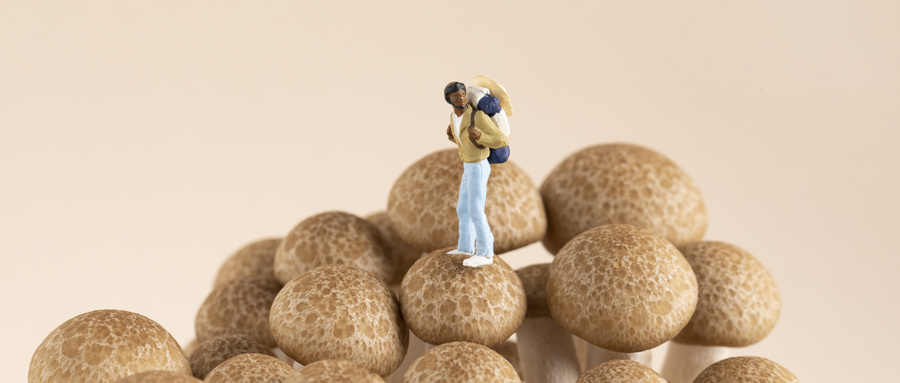 国足队员脚法,国足脚法集锦