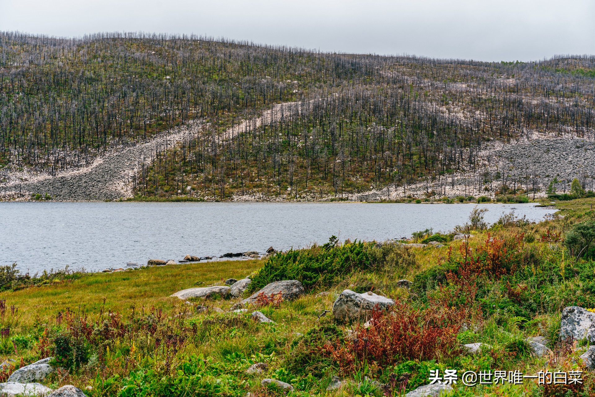 康定情歌川西旅游,318川西康定木格措