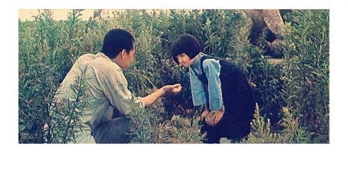 看《城南旧事》｜儿童眼中北京老胡同的故事，为何能豆瓣评9.1分