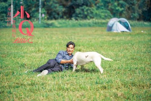 任达华小q电影粤语,任达华电影小q片段