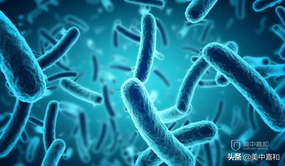 抗肿瘤治疗有效率,抗肿瘤治未病