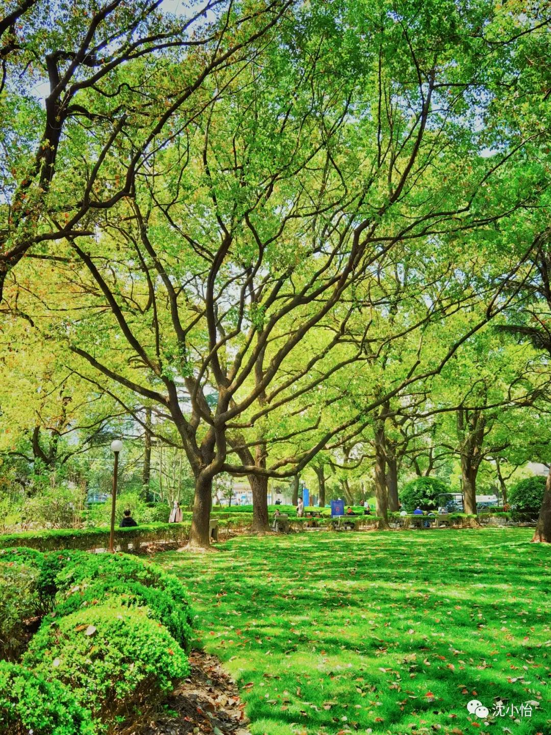 第二次距离死亡那么近,是一种什么样的体验?