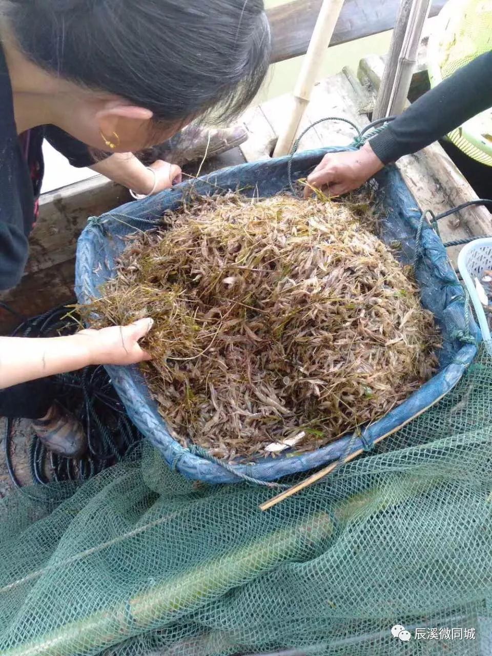 辰溪房地产招聘,辰溪招聘社会工作者