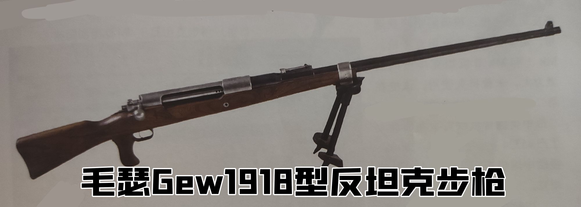 德国1930年的老枪,德国18世纪剑枪图片