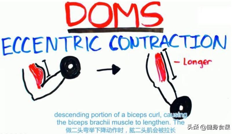 肌肉没感觉什么办法可以恢复,肌肉没锻炼快速松弛原因
