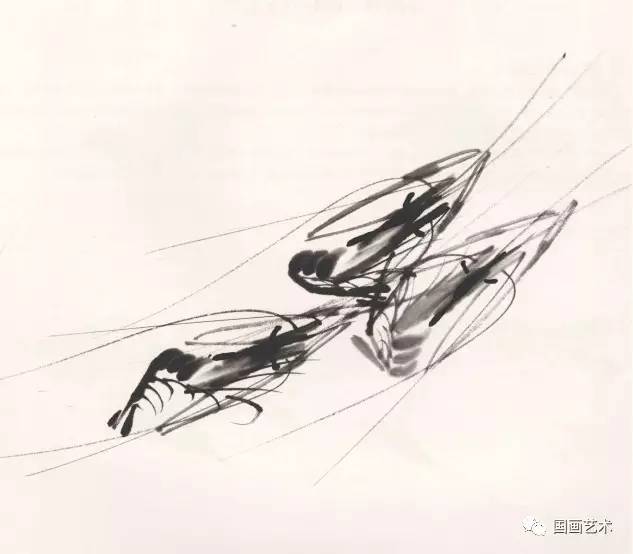 国画用胶矾水画虾技法,娄师白画虾技法视频