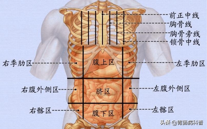 肚子疼一般要考虑哪些问题,肚子痛最快的解决办法