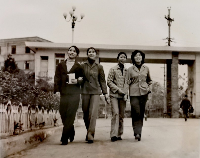 南棉老照片,南棉老照片大全