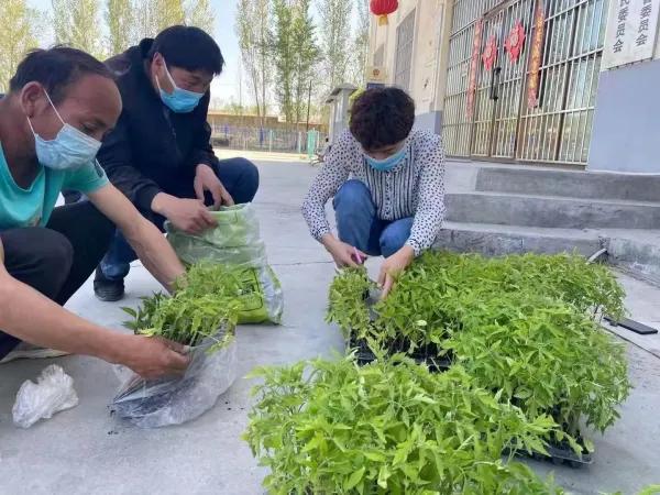 呼图壁县历史简介,呼图壁县历史大事记