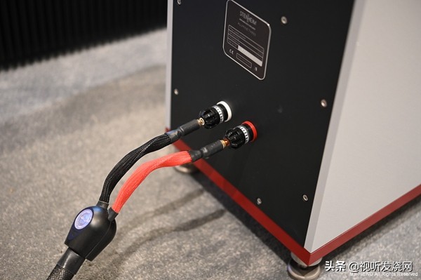 瑞士之声最新款5号音箱,瑞士之声aluminetwose音箱