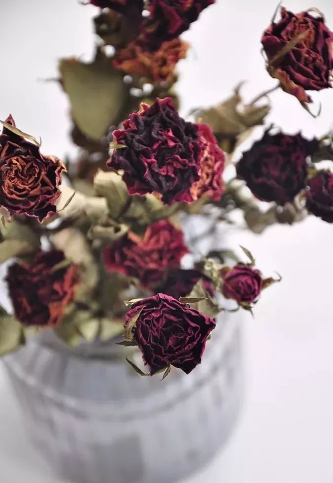 鲜花和干花的不同美感,有哪些花可以制作干花