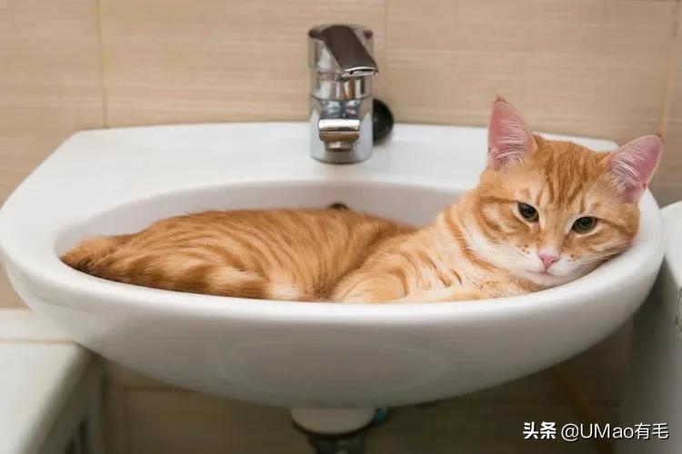 做好这几点远离呼吸道疾病,做好这八点让你轻松管理