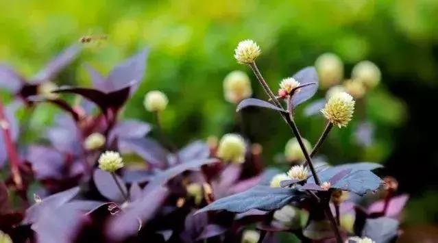 刁问妙答（绝妙！）