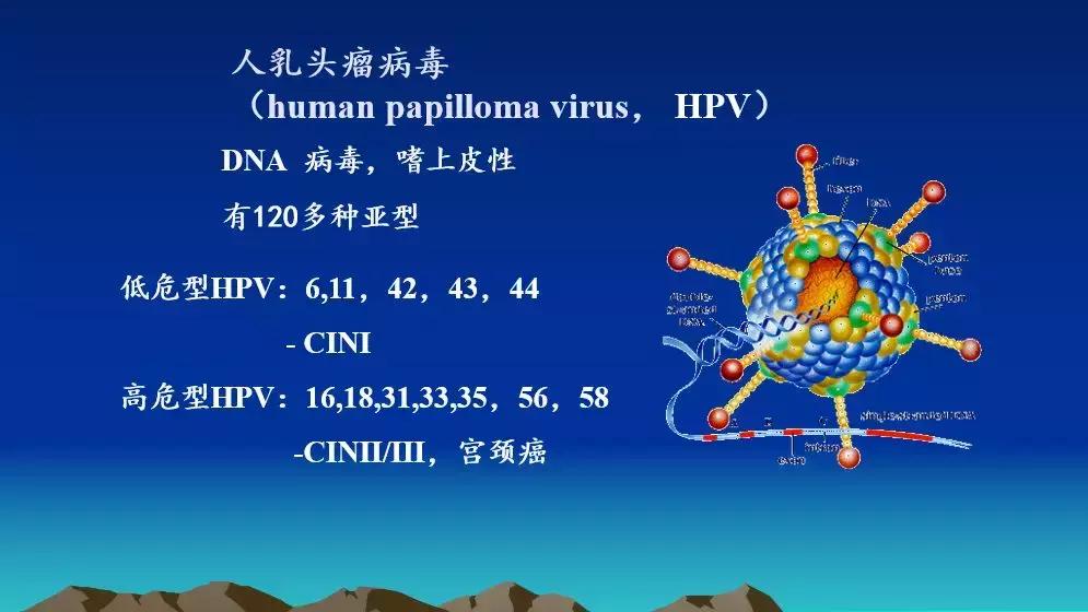 科普｜浦东医院朱建龙：妇科肿瘤的防治