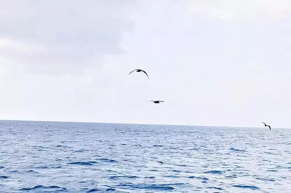 升米恩斗米仇图片大全,升米恩斗米仇解决方法