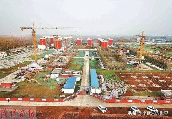 河南洛阳发布最新通知,洛阳牡丹花会向全世界发出邀请