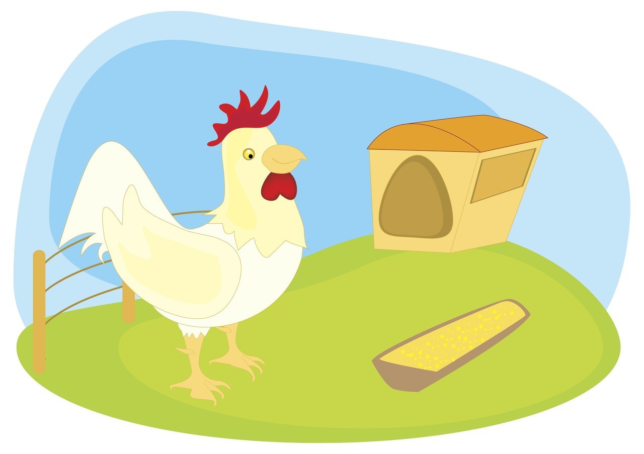 蛋鸡滑液囊支原体病的特点,蛋鸡滑液囊支原体治疗方法