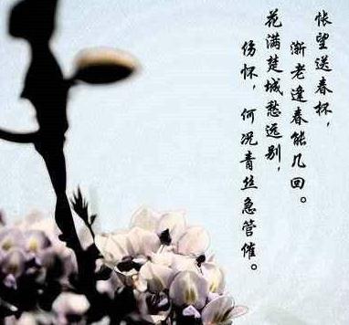 苏轼词集有什么,集句词苏轼