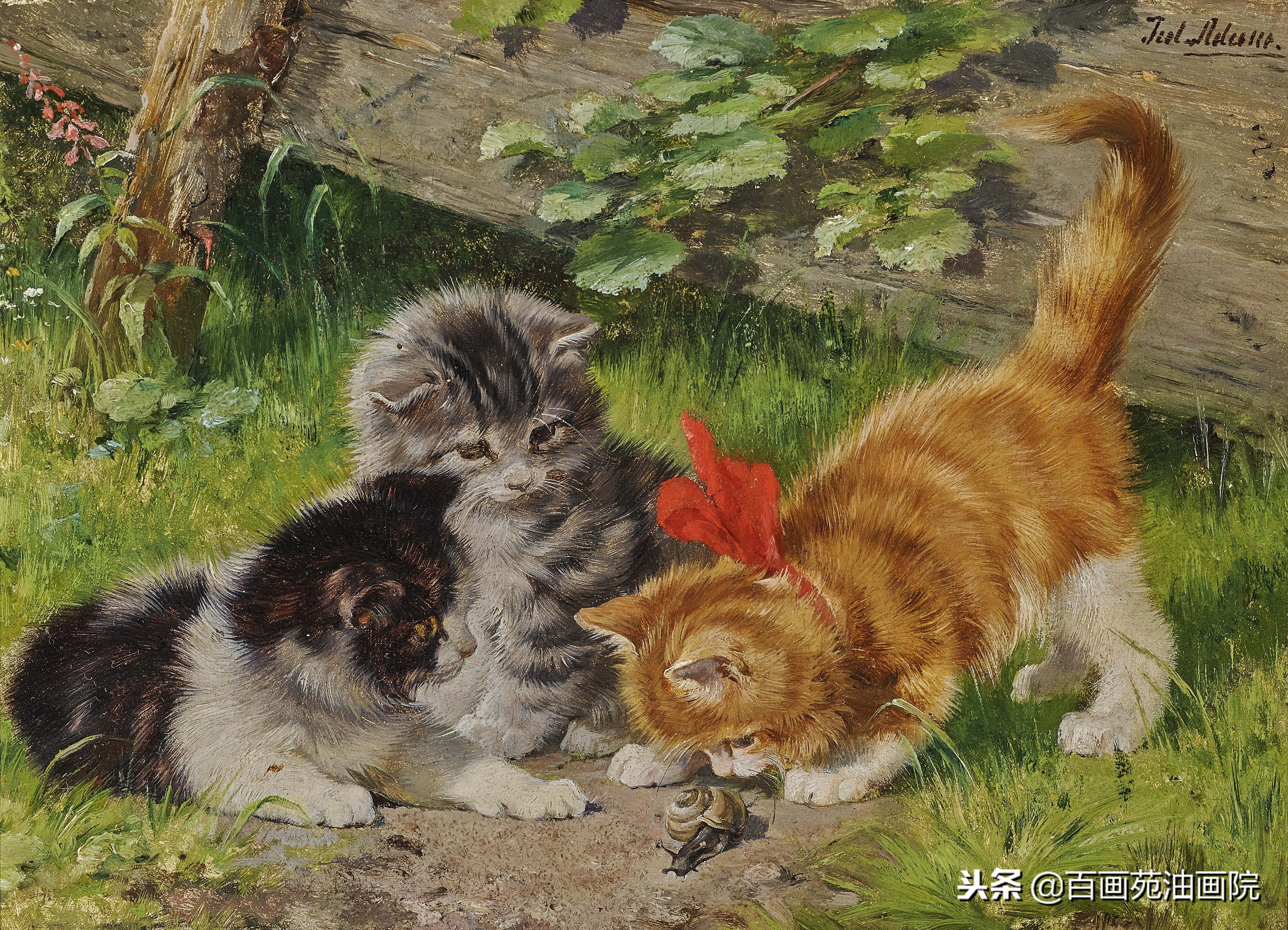 一步一步教你画油画动物,油画动物的绘画步骤