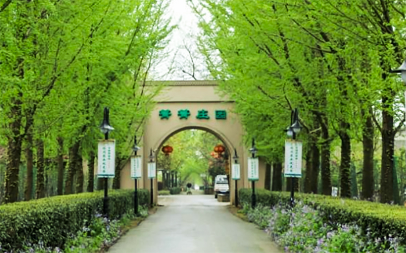 广德风景区排名,广德十三五创建的5a级景区