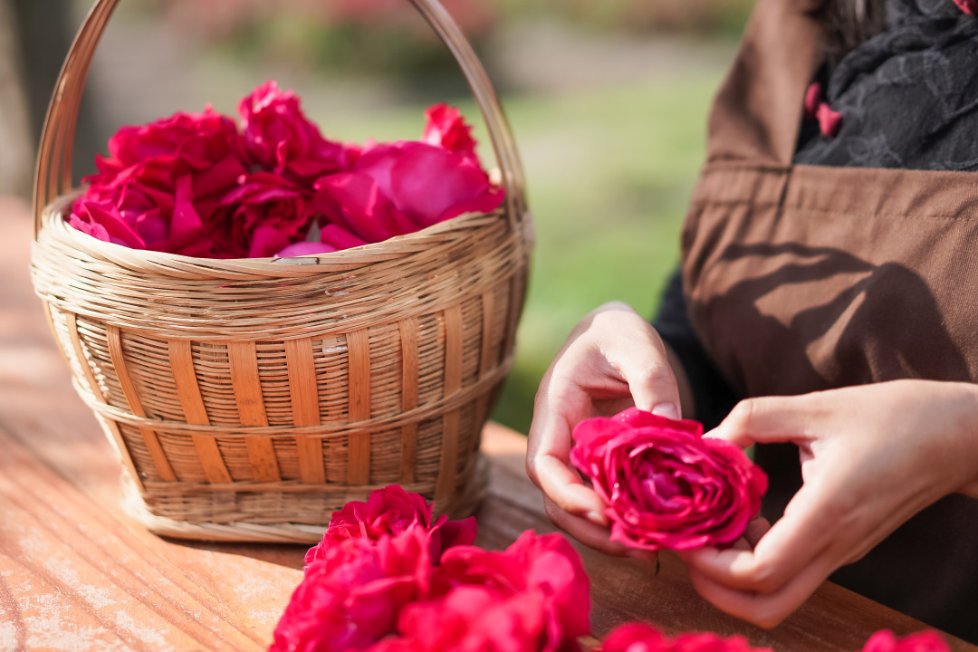 大理自由行攻略推荐,没有攻略的大理旅游